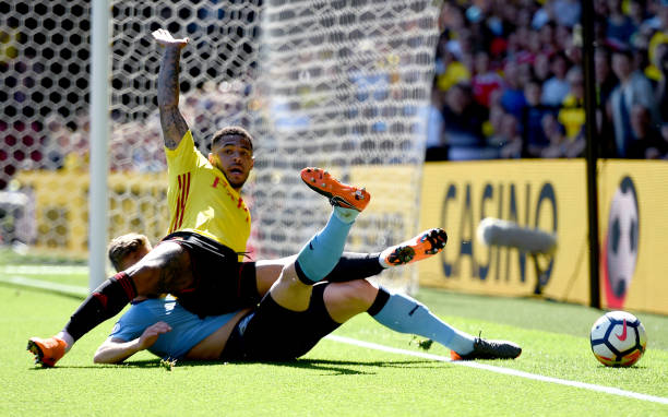 了他的职业 了他的职业